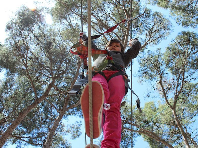 Live an adventure among the trees Live an adventure among the trees