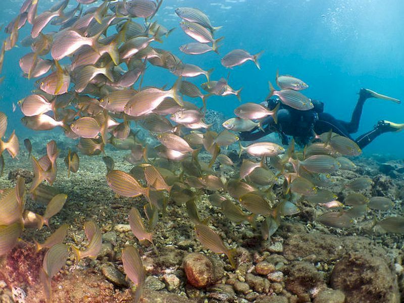 Explore Spain’s beaches from the depths Explore Spain’s beaches from the depths